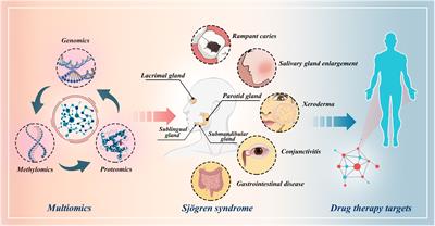 Identification of drug targets for Sjögren’s syndrome: multi-omics Mendelian randomization and colocalization analyses